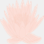 yoake.lu
