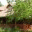 cache-creek-inn.com