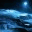 dumlphyshead.wordpress.com