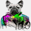 einarthefrenchie.com