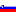 sloveneamericanclub.com