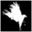 whiteblackbird.com