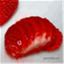 gourmanblog.com
