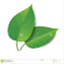 viyasoft.net