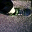 funandrun.wordpress.com
