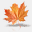 mapleitservices.com