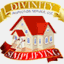 divinityinspectionservice.com
