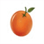 orangeautoglass.com
