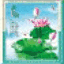 mimura-shokai.com