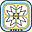 imismx.org