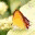 envirohk.wordpress.com