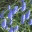 broadviewupdate.wordpress.com