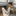 cats77.com