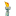 newyorktorch.com