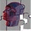 your-new-head.com