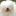 cotondetulear.fr