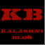 kalashniblog.wordpress.com