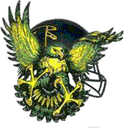 grovesfalconsfootball.com