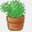 cactusict.com