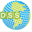 dsschile.cl