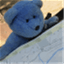 adventuresofbluebear.com
