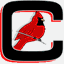 cardinalproperties.com