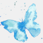 flutterdesigns.co.uk
