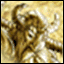 s1.knights.pl