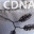 collaborationdna.com