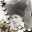 gravediggersgenealogy.wordpress.com