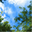 thestrongerthebreezethestrongerthetrees.com