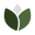 fbcrosemount.org