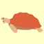 tortoise-shell.net