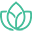 lifeschoicessupport.org
