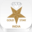 goldstarpowders.in