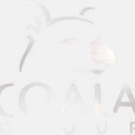 coastsecurityagency.com