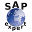 sapexpert.co.uk