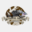 autentic-chasse.com