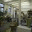brooklynstudio.wordpress.com