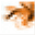siderasoftware.it