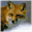 webdesignbysilverfox.com
