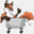 onacup.de