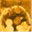 fastforwardscience.de