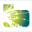 braintex.de