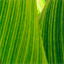jocooperstudio.com