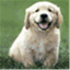 blobaugh.wordpress.com