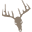 maximumhunting.com