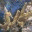 jcarleton.wordpress.com
