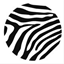 zebraarchitects.co.uk