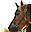 equi-sens.ca